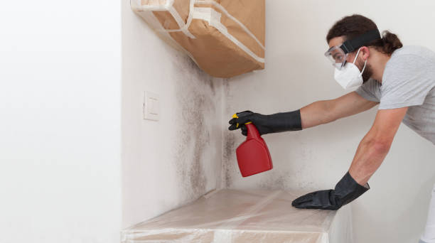 Professional Basement Mold Remediation technician working in Quarryville, PA