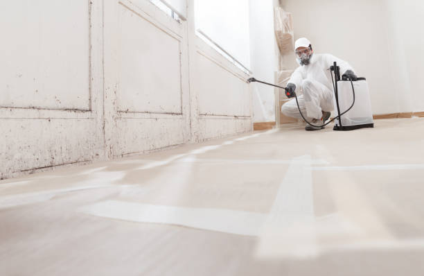 24/7 Emergency Basement Mold Remediation experts in Quarryville, PA